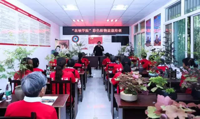 “花領(lǐng)學(xué)院”盆栽技術(shù)培訓(xùn)高新區(qū)開講 奏響鄉(xiāng)村振興“沖鋒號”