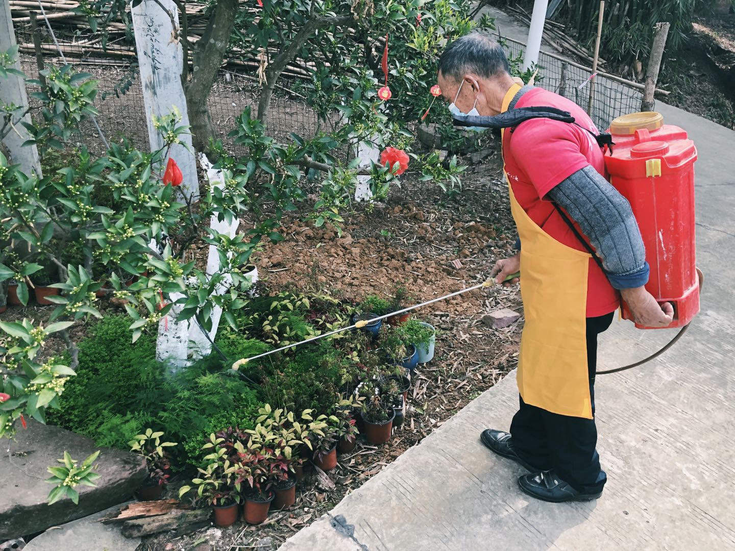 聚焦七彩|成都市副市長劉旭光調(diào)研七彩林科產(chǎn)業(yè)扶貧項目