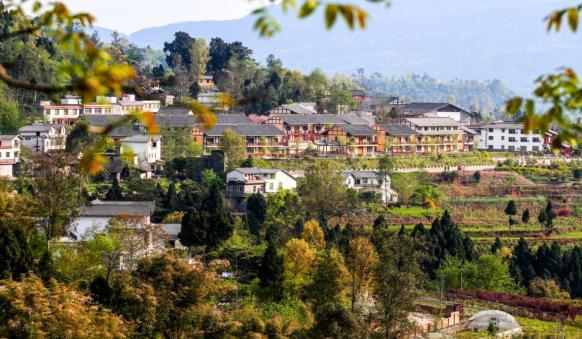 「巴中」南江縣:壯大非公經濟助力貧困村跑出致富“加速度” 「巴中」南江縣:壯大非公經濟助力貧困村跑出致富“加速度”