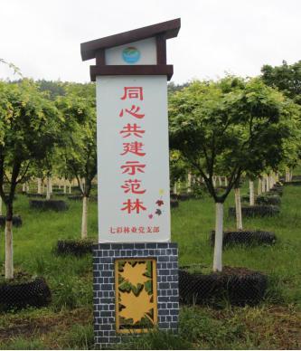 「巴中」南江縣:壯大非公經濟助力貧困村跑出致富“加速度” 「巴中」南江縣:壯大非公經濟助力貧困村跑出致富“加速度”