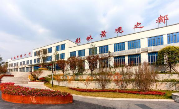 「巴中」南江縣:壯大非公經濟助力貧困村跑出致富“加速度” 「巴中」南江縣:壯大非公經濟助力貧困村跑出致富“加速度”