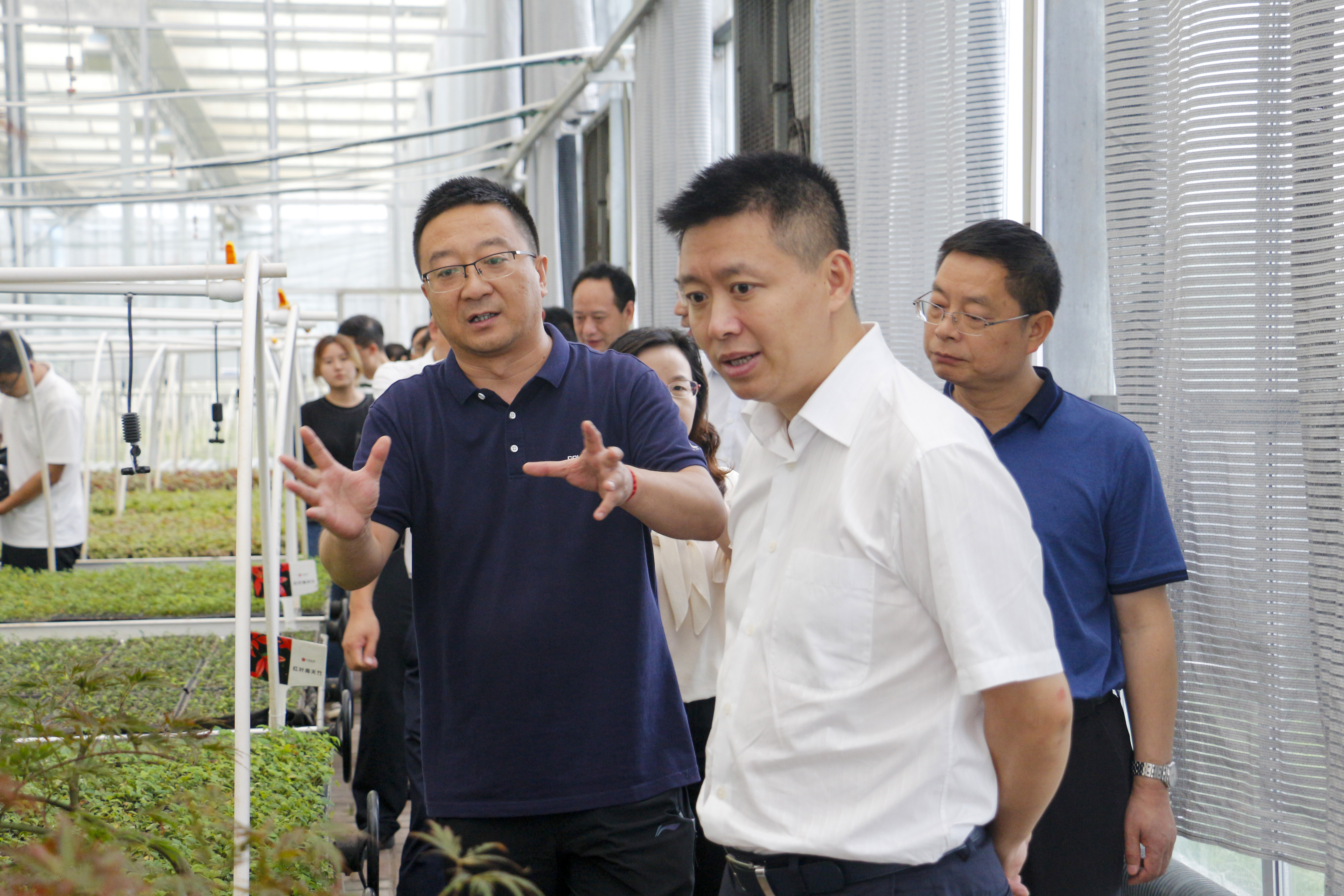 聚焦七彩|團(tuán)省委書記張榮帶隊(duì)專題調(diào)研七彩林科