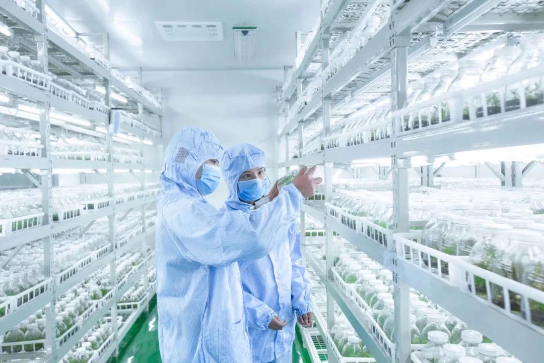 聚焦七彩|四川省委書記彭清華調(diào)研巴州區(qū)中藥材現(xiàn)代農(nóng)業(yè)園區(qū)