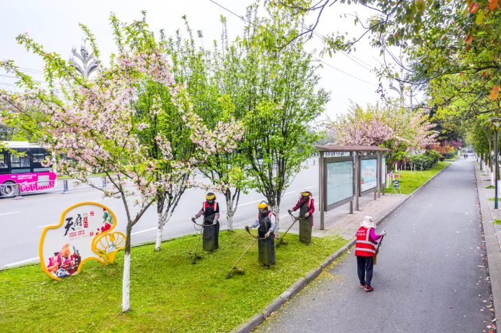 七彩服務(wù)|探索城市園藝新路徑