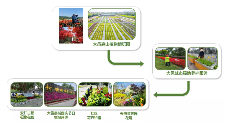 七彩服務(wù)|探索城市園藝新路徑