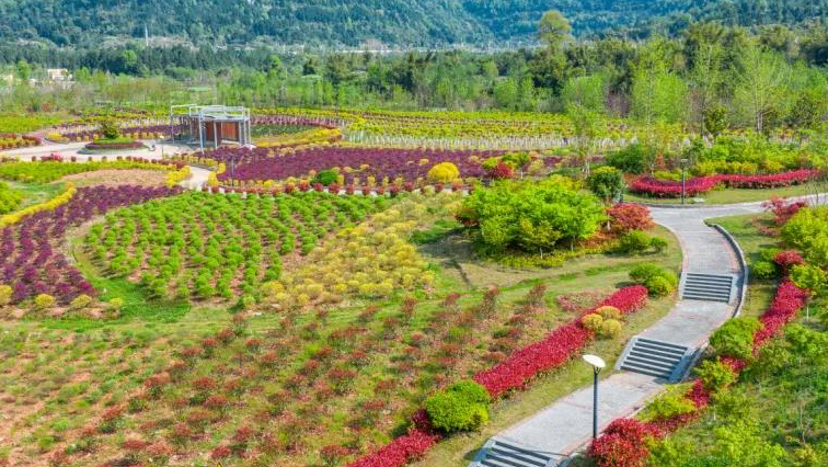 七彩服務(wù)|探索城市園藝新路徑