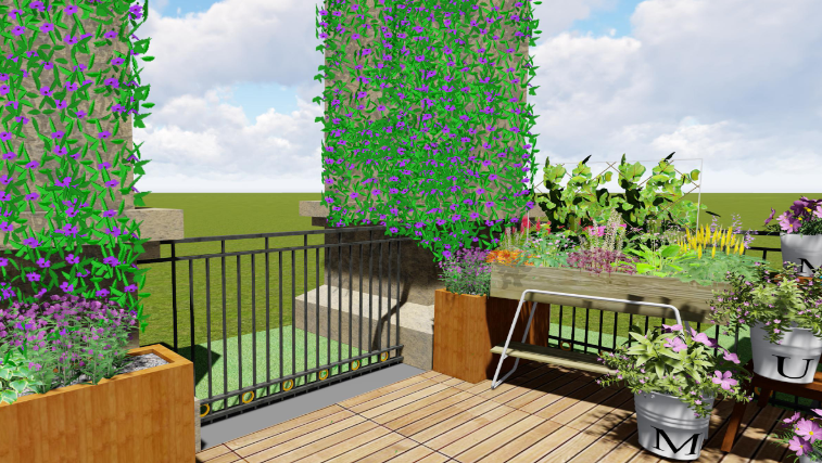 七彩服務(wù)|探索城市園藝新路徑