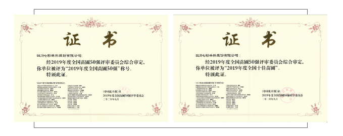 聚焦七彩|金秋豐收！七彩林科再獲全國(guó)十佳苗圃