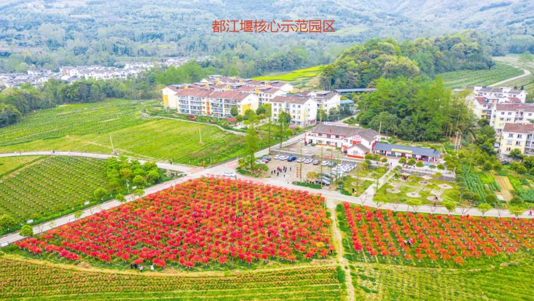 聚焦七彩|金秋豐收！七彩林科再獲全國(guó)十佳苗圃