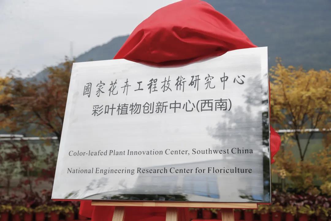 聚焦七彩|“國家花卉工程技術研究中心彩葉植物創(chuàng)新中心（西南）”隆重揭牌