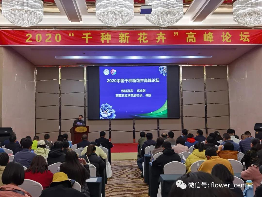 謝松林博士出席2020中國(guó)“千種新花卉”高峰論壇