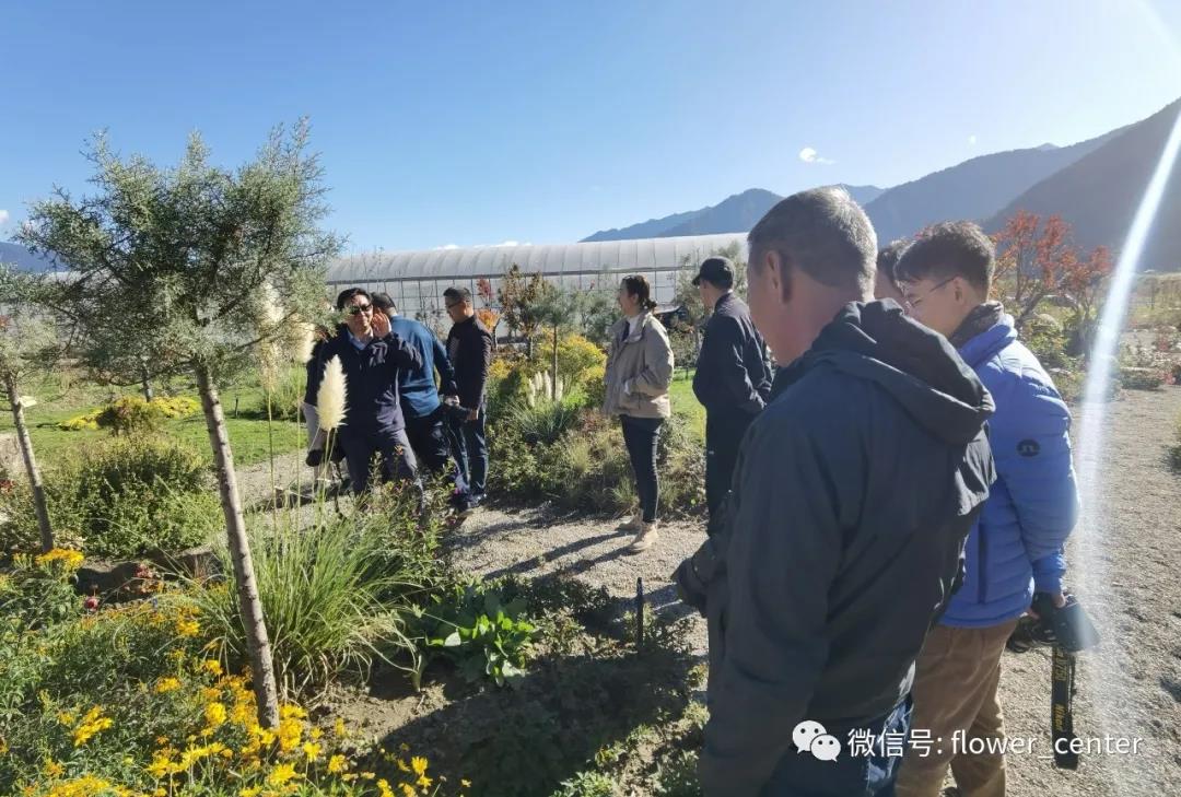 謝松林博士出席2020中國“千種新花卉”高峰論壇