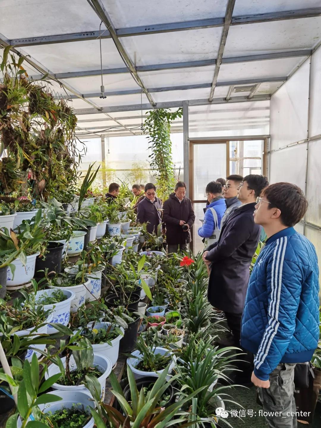 謝松林博士出席2020中國“千種新花卉”高峰論壇