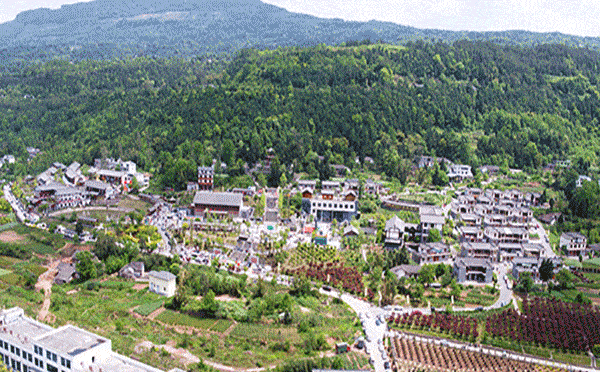 12月5日，相約正直長灘吃大酥肉、嘗鳳柑、看演出、品文化！ 