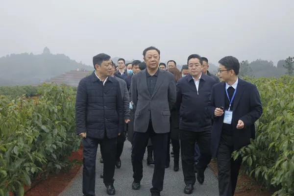 全省竹林風景線暨林業(yè)園區(qū)建設現(xiàn)場會在宜賓召開