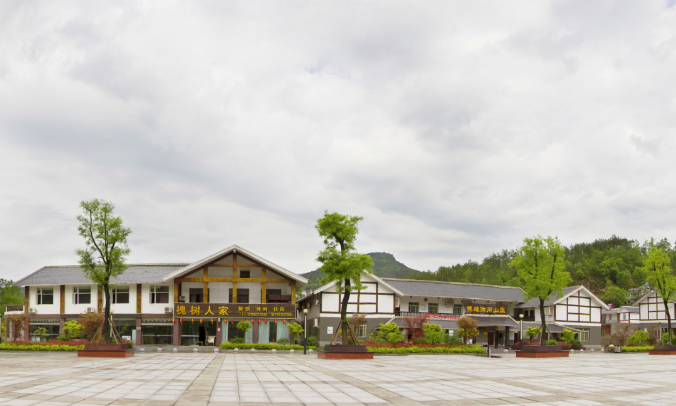 聚焦七彩|七彩苗木持續(xù)助推鄉(xiāng)村振興