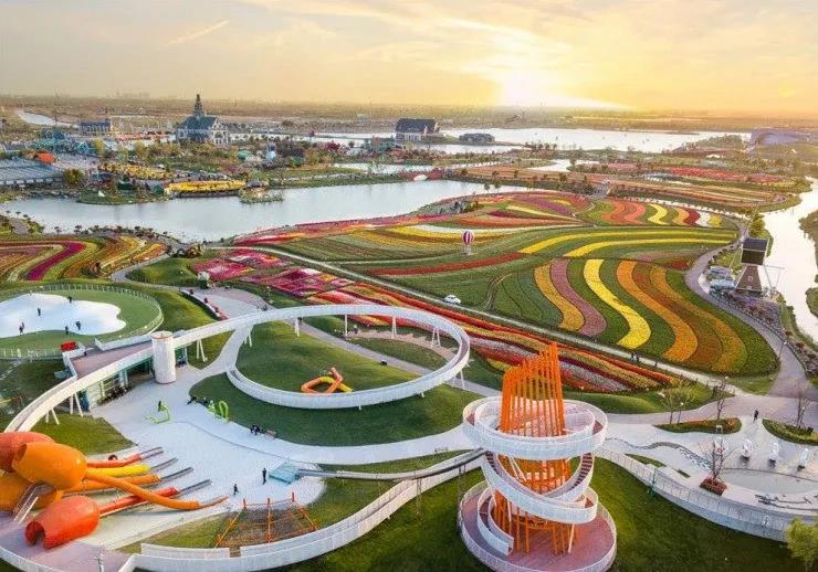 風(fēng)起云涌二十載，花海前途未可知？