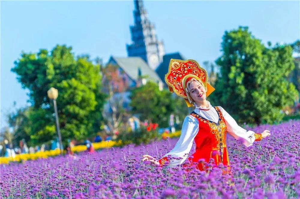 風(fēng)起云涌二十載，花海前途未可知？