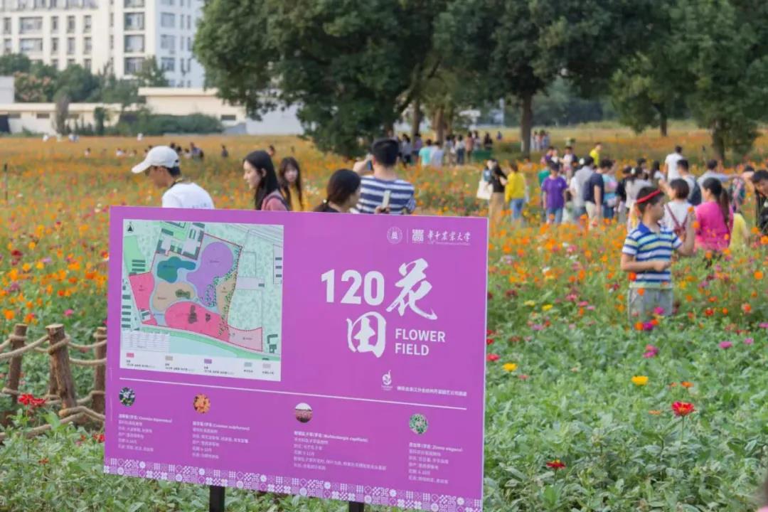 風(fēng)起云涌二十載，花海前途未可知？