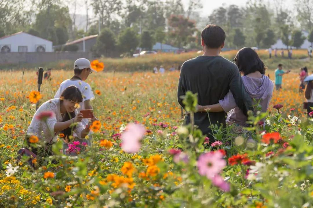 風(fēng)起云涌二十載，花海前途未可知？