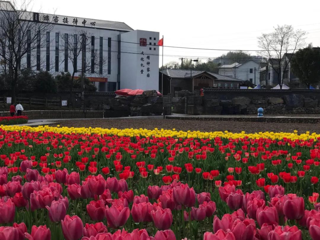 風(fēng)起云涌二十載，花海前途未可知？