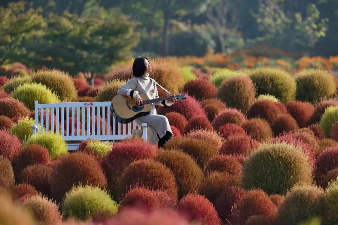 風(fēng)起云涌二十載，花海前途未可知？