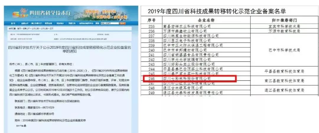 大事記|2020，那些讓人難忘的七彩瞬間
