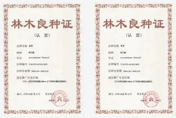 大事記|2020，那些讓人難忘的七彩瞬間