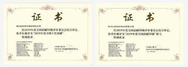 大事記|2020，那些讓人難忘的七彩瞬間