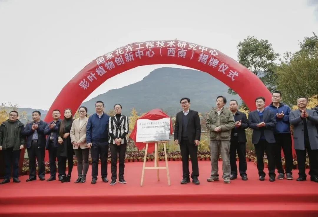 大事記|2020，那些讓人難忘的七彩瞬間