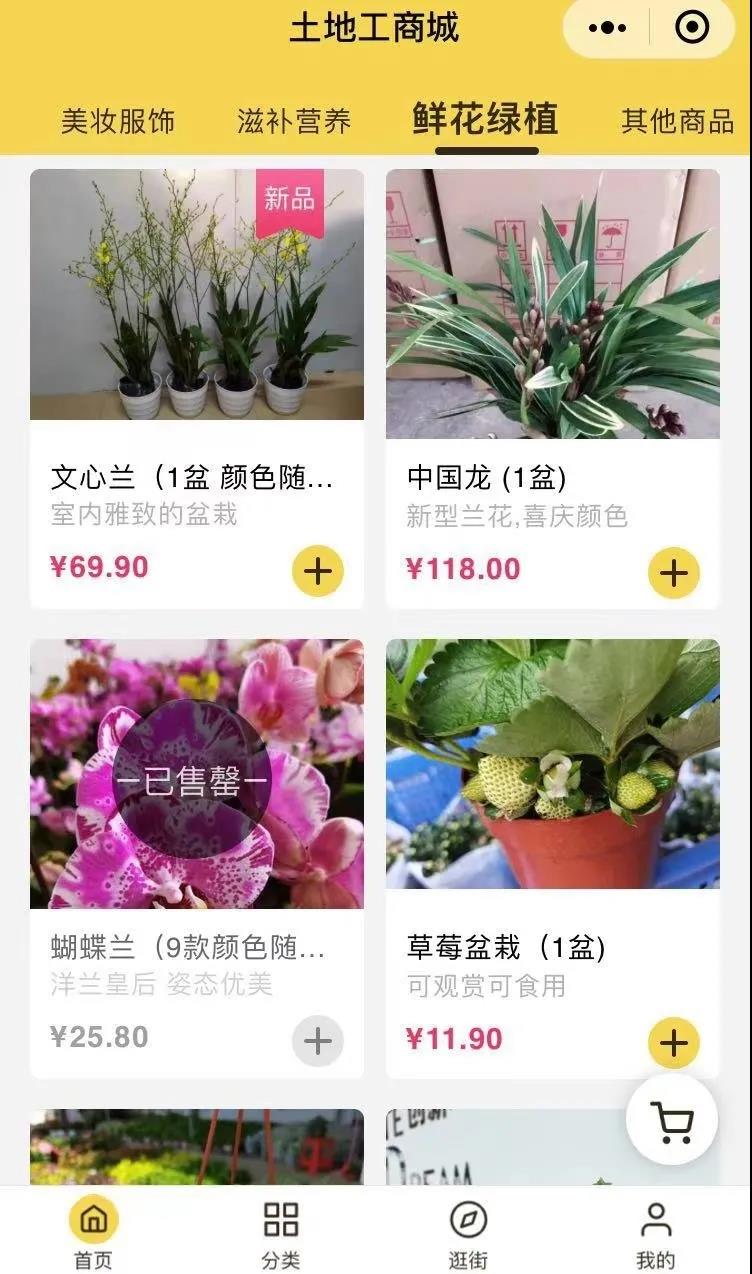 社交新零售 ，花卉企業(yè)打開終端市場的新機會？