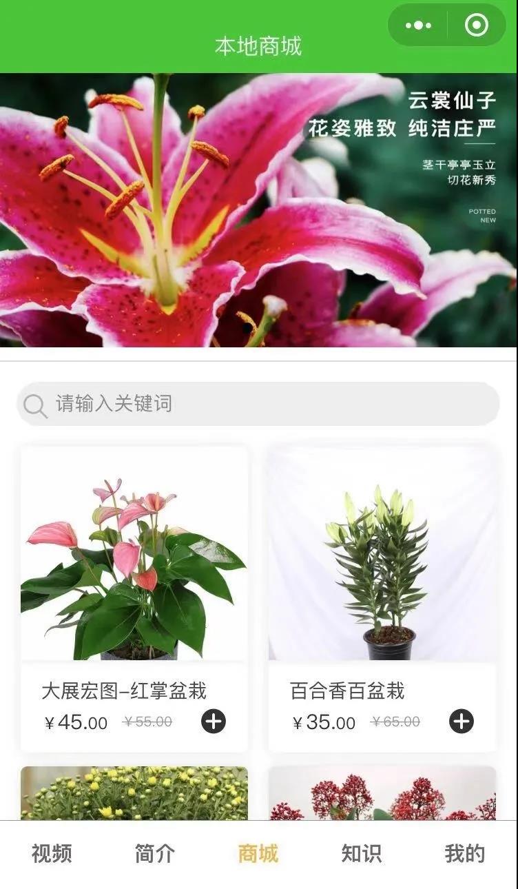 社交新零售 ，花卉企業(yè)打開終端市場的新機會？