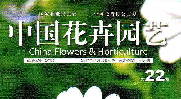 四川七彩林業(yè)巴中基地：讓更多彩色景觀絢美呈現(xiàn)