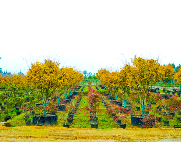 蒲江核心示范園區(qū)