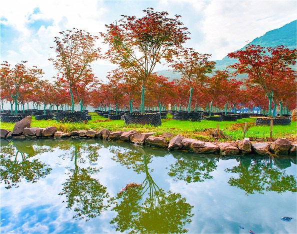 七彩長(zhǎng)灘