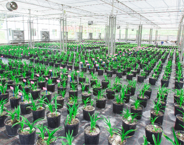 清江核心園區(qū)