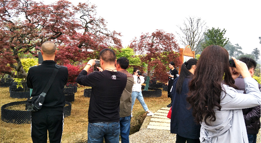 七彩林業(yè)成佳基地“漂亮得不像實力派”