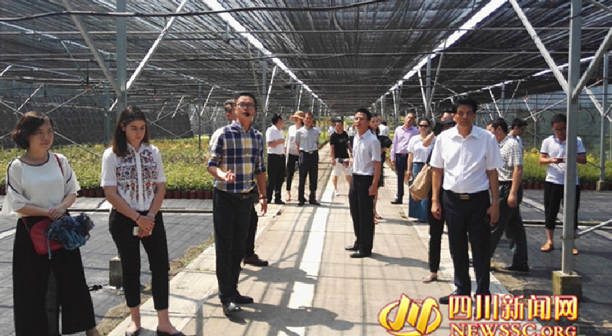 友好合作交流市州行·走進巴中 代表期望與巴中合作共贏