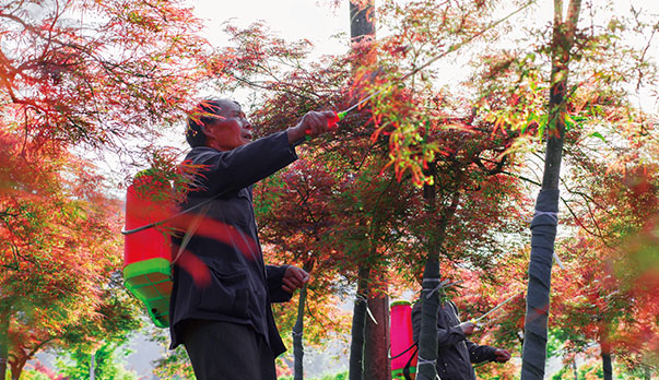 不忘初心堅持產(chǎn)業(yè)扶貧，堅定腳步繼續(xù)精準扶貧