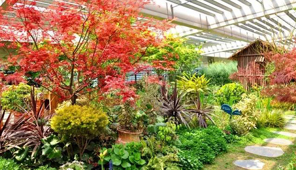 屋頂花園農(nóng)場(chǎng)喜獲“中國(guó)屋頂綠化與節(jié)能優(yōu)秀設(shè)計(jì)作品”