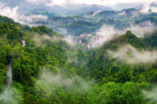 越過(guò)生態(tài)與園林的鴻溝