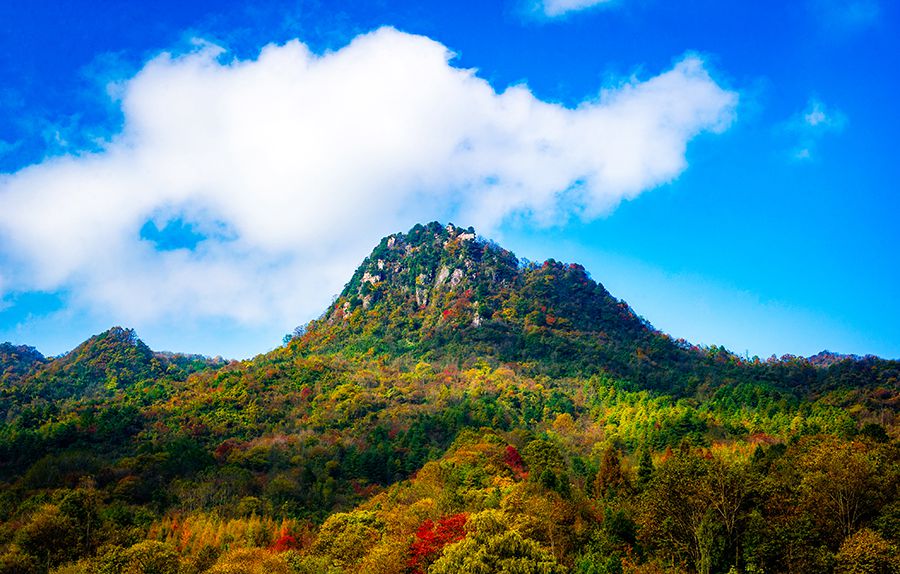 僅用三年四川扶貧項(xiàng)目走出一條康莊大道
