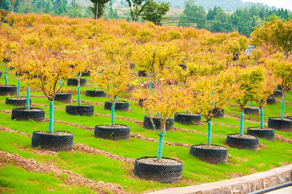 做好這些，將雨季損失降到最低