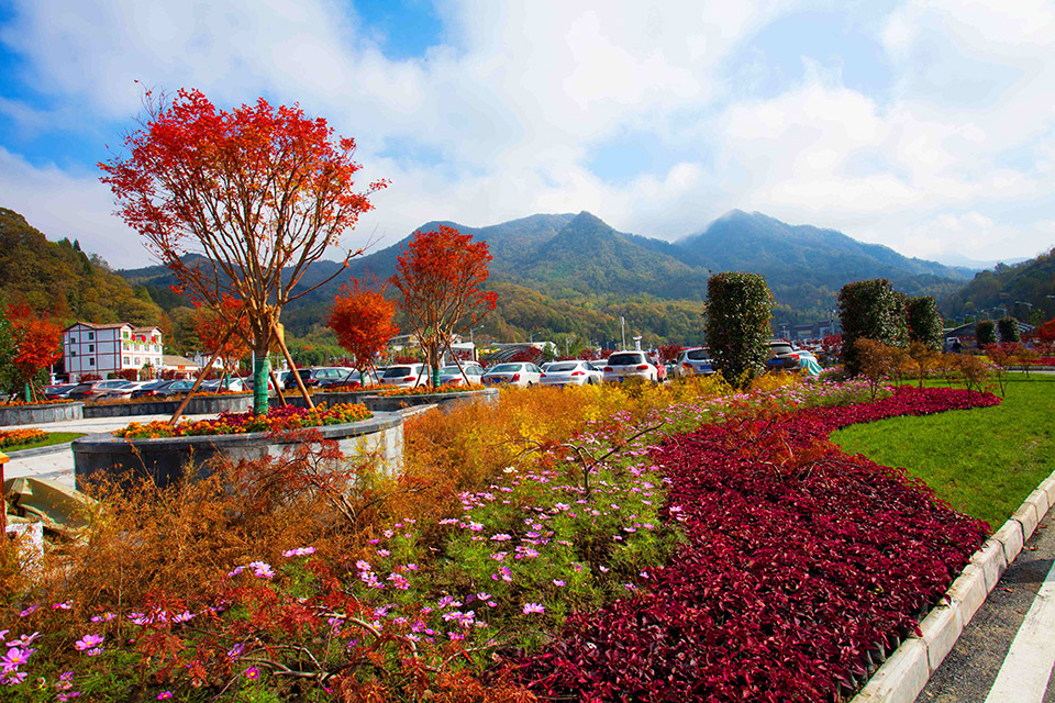七彩林業(yè)千種植物資源，助力升級(jí)城市園林景觀