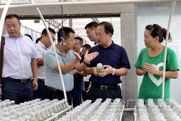 ?三臺縣委書記馬輝帶隊到巴中市南江縣參觀考察七彩長灘項目