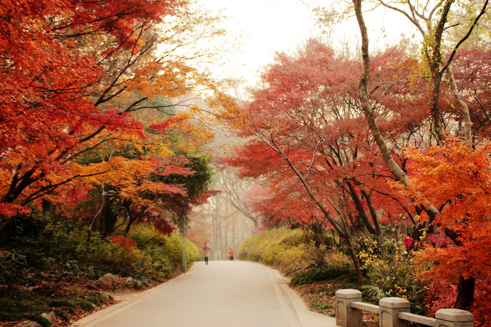 扶貧日記（十六）王堯：我與九寨村的“親密接觸”