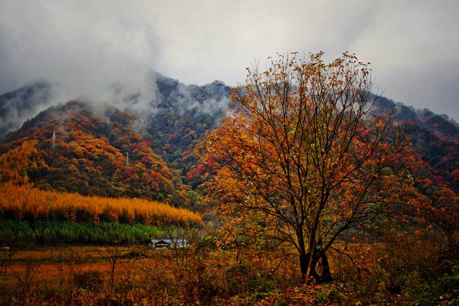 守住綠水青山　守住美麗幸福