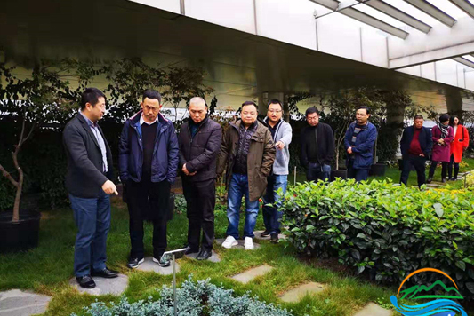 魏魁率隊(duì)赴成都七彩林業(yè)公司洽談項(xiàng)目合作