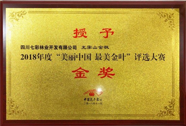 光霧山金楓獲2018“美麗中國(guó) 最美金葉”評(píng)選大賽金獎(jiǎng)