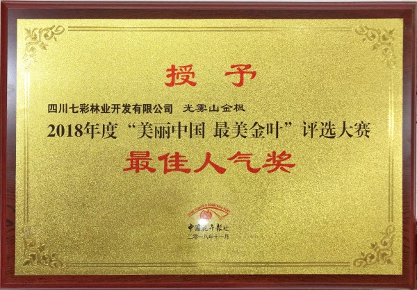光霧山金楓獲2018“美麗中國(guó) 最美金葉”評(píng)選大賽最佳人氣獎(jiǎng)